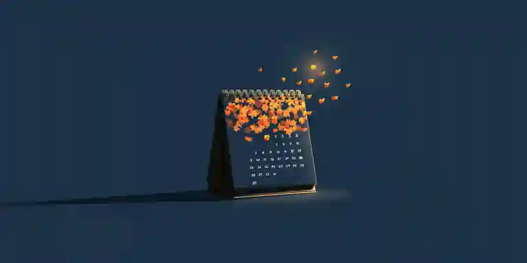 Calendar or checklist representing an annual website maintenance rhythm