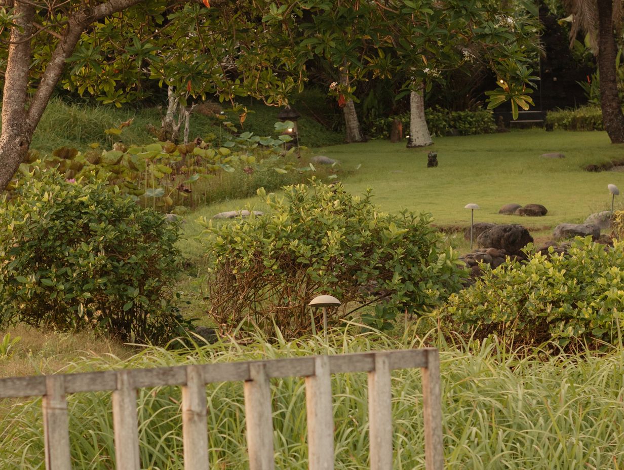 Freshly laid rolls of turf forming a neat green lawn beside planted borders and a stone path in a landscaped garden.
